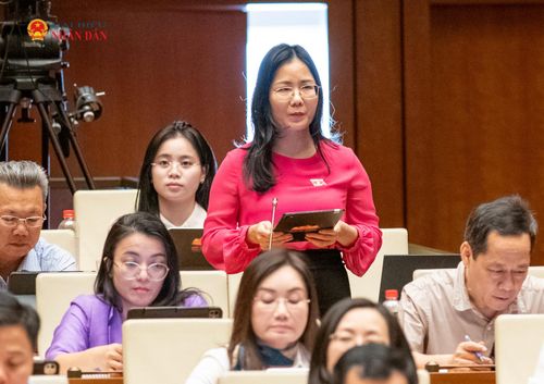 ĐB Nguyễn Thị Minh Tú (Nghệ An) phát biểu. Ảnh: Lâm Hiển
