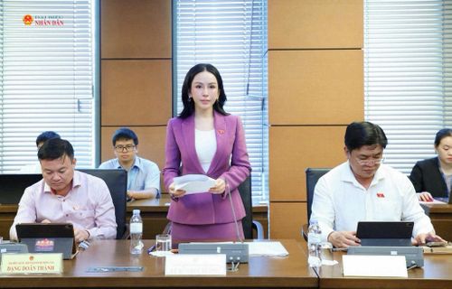 ĐBQH Lê Nữ Thùy Dương (Đồng Nai) phát biểu thảo luận tại tổ