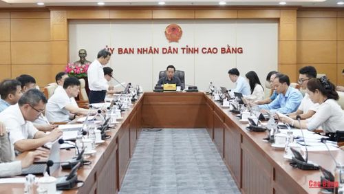 Các đại biểu tham dự cuộc họp.