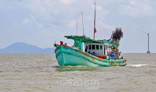 Với quyết tâm cao và sự đồng thuận, vào cuộc trách nhiệm của ngư dân, 100% tàu cá của Cà Mau đều lắp thiết bị VMS, đồng bộ tín hiệu lên hệ thống giám sát tàu cá.