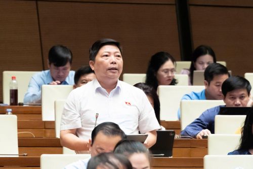 Đại biểu Nguyễn Vũ Trung (Đoàn thành phố Hồ Chí Minh) thảo luận. Ảnh: media.quochoi.vn