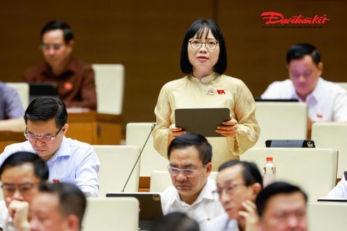 Đại biểu Nguyễn Thị Việt Nga đoàn Hải Phòng phát biểu. Ảnh: Quang Vinh