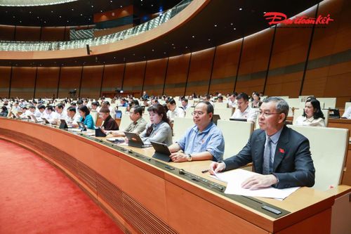 Các đại biểu tham dự phiên thảo luận. Ảnh: Quang Vinh