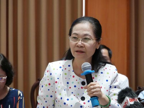 Nguyên Chủ tịch HĐND TP.HCM Nguyễn Thị Lệ chỉ ra khoảng cách còn khá lớn giữa dự thảo Luật Phát triển đô thị và dự thảo quy hoạch. Ảnh: Phan Anh.