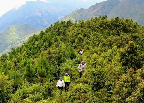 Khảo sát cung trekking giữa núi rừng Suối Tọ, hướng tới hình thành sản phẩm du lịch khám phá thiên nhiên
