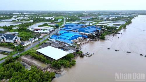 Công trình kè G6 sắp triển khai sẽ che chắn và bảo vệ toàn bộ khu vực dân cư và các nhà máy chế biến thủy sản, hạ tầng kinh tế trọng điểm ven sông Gành Hào. (Ảnh: HỮU TÙNG)
