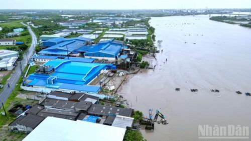 Khi công trình kè G6 triển khai sẽ giải quyết triệt để sạt lở tại “điểm nóng” Gành Hào, kết nối đồng bộ hạ tầng giao thông, tạo tiền đề để địa phương phát triển kinh tế-xã hội bền vững vùng ven biển Gành Hào của tỉnh Cà Mau. (Ảnh: HỮU TÙNG)