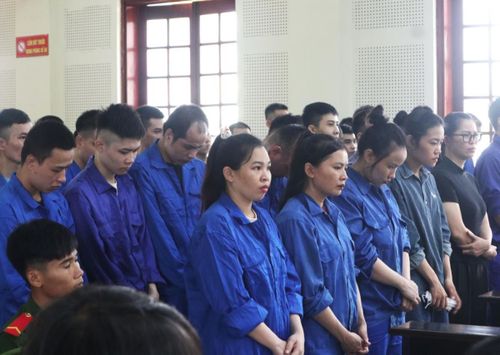 Mỗi bị cáo trong vụ án đều có một vai trò, nhiệm vụ riêng để thực hiện hành vi lừa đảo.