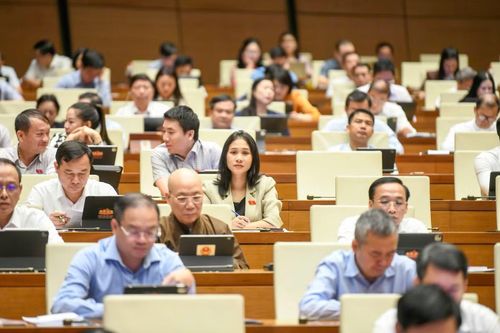 Hôm nay, Quốc hội sẽ thảo luận về định hướng chính sách sửa đổi Luật Đất đai và Luật Nhà ở. Ảnh: Như Ý