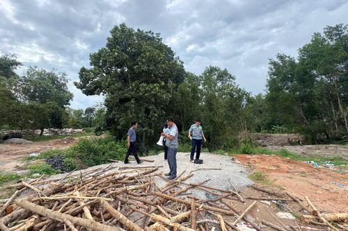 Lực lượng chức năng đặc khu Phú Quốc tổ chức cưỡng chế, thu hồi đất đối với các trường hợp bao chiếm, lấn chiếm đất rừng.