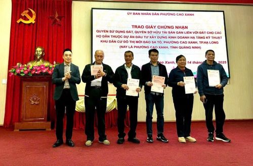 UBND phường Cao Xanh trao giấy chứng nhận quyền sử dụng đất cho các hộ dân tại Khu dân cư đô thị mới đảo Sa Tô vào tháng 12/2025.