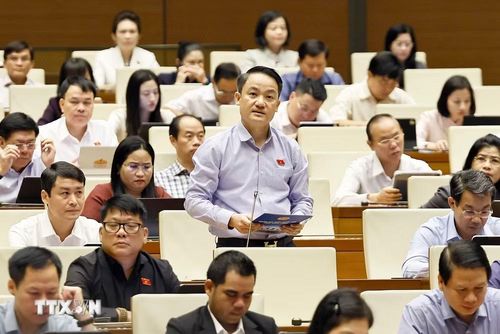Đại biểu Quốc hội tỉnh Ninh Bình Lê Văn Thế phát biểu. (Ảnh: Doãn Tấn/TTXVN)