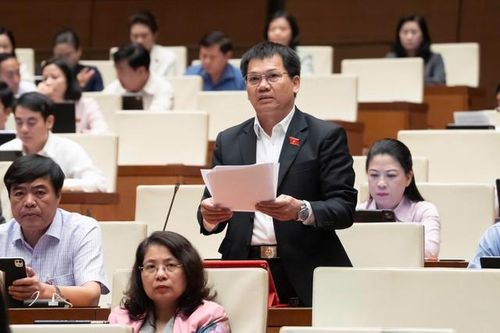 ĐBQH Dương Khắc Mai (Ảnh: Media Quốc hội).