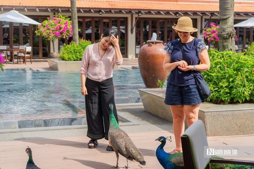 Du khách ngày càng quan tâm đến các yếu tố bền vững khi lựa chọn điểm đến và cơ sở lưu trú.