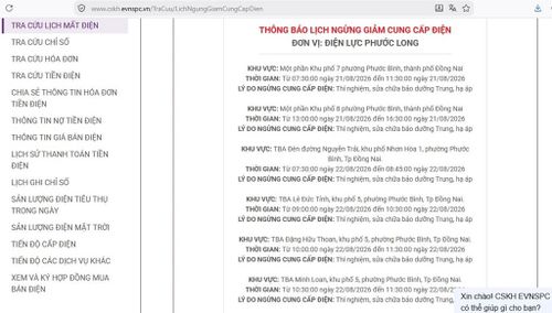 Lịch ngừng cấp điện tại Đồng Nai ngày mai 22/8 được cập nhật trên website của EVNSPC lúc 08h ngày 21/8. Ảnh: BNEWS phát