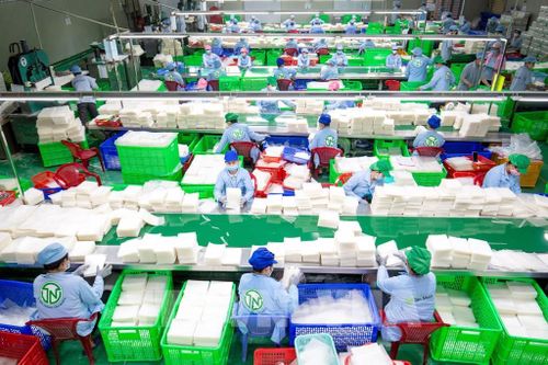 Tuổi trẻ Tây Ninh ra sức lao động, học tập, sáng tạo, biến nhiệt huyết tuổi trẻ thành những việc làm thiết thực, góp sức xây dựng quê hương ngày càng phát triển. Ảnh: Giang Phương - TTXVN