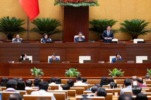 Phó Chủ tịch Quốc hội Nguyễn Hồng Diên phát biểu kết luận nội dung thảo luận.
