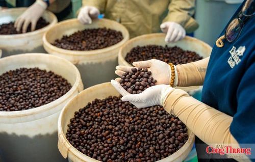 Các thị trường lớn như Mỹ, Nhật Bản cũng ngày càng đặt ra yêu cầu cao về chất lượng, truy xuất và trách nhiệm môi trường.