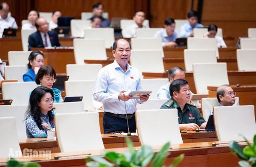 Đại biểu Quốc hội Nguyễn Việt Thắng phát biểu tại phiên thảo luận.