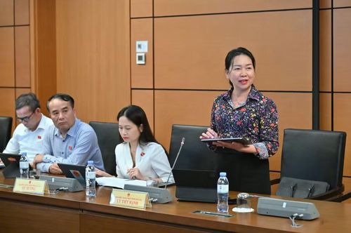 ĐB Lý Tiết Hạnh - Phó Trưởng đoàn chuyên trách Đoàn đại biểu Quốc hội tỉnh Gia Lai tham gia góp ý vào các dự án luật về tư pháp hình sự. Ảnh: Đoàn ĐBQH tỉnh Gia Lai