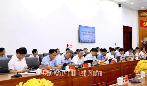 Các đại biểu dự phiên họp.