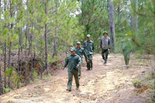 Các thành viên trong tổ dự bị động viên tham gia quản lý, bảo vệ rừng tuần tra tại các tiểu khu trên địa bàn xã Lạc Dương