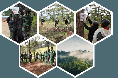 Sau sáp nhập, xã Lạc Dương có địa bàn rộng, tỷ lệ đồng bào DTTS cao, đời sống người dân gắn với việc tham gia nhận khoán bảo vệ rừng trên địa bàn