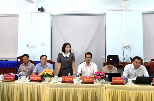 Phó Giám đốc Sở Tài chính Bùi Thị Tuyết Mai có ý kiến tại buổi giám sát