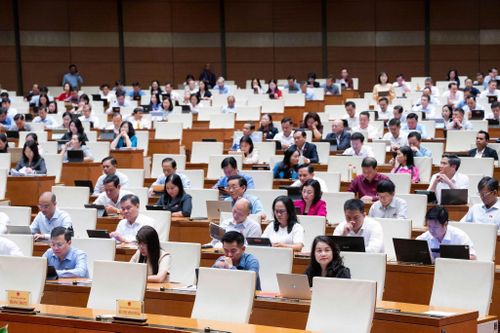 Các đại biểu tham dự