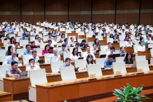 Các đại biểu tham dự