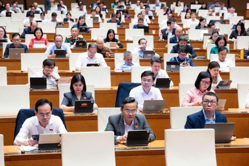 Các đại biểu tham dự