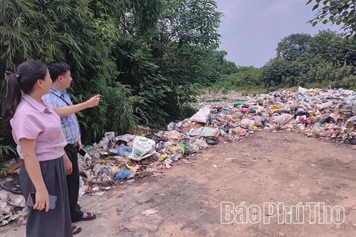 Điểm tập kết rác thải trên địa bàn xã Đại Đình được bố trí tập trung, góp phần hạn chế tình trạng rác thải tồn đọng, gây ô nhiễm môi trường.