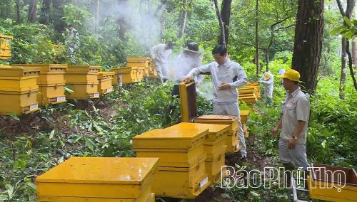 Bằng sự ần cù, sáng tạo, Honeco đã cho ra đời nhiều sản phẩm mật ong được thị trường trong và ngoài nước ưa chuộng