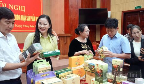 Đồng chí Lê Văn Bảo, Phó Chủ tịch UBND tỉnh và các đại biểu tham quan các sản phẩm đặc sản địa phương - Ảnh: H.Tr
