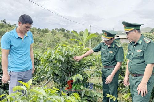 Cán bộ Đồn Biên phòng Nậm Lạnh hướng dẫn người dân bản Phổng kỹ thuật trồng cây cà phê.