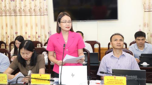 Lãnh đạo Ban Văn hóa - Xã hội HĐND tỉnh phát biểu tại phiên họp.