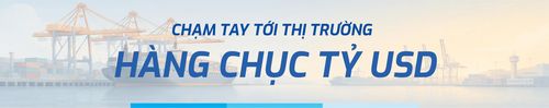 Nhưng kể cả chúng ta đầu tư hơn nữa cho cảng, cho đội tàu thì cũng vẫn là một tư duy cũ, như ông nói cần là phải tạo ra "một thị trường" và cách giữ lại những giá trị trong nước. Nó cụ thể là gì?