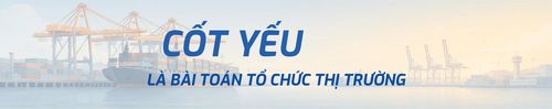 Theo ông nguyên nhân cốt lõi khiến đội tàu Việt Nam không giành được thị phần là gì?