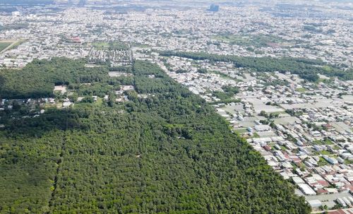 Rừng phòng hộ và cảnh quan Biên Hòa không chỉ điều hòa, lọc không khí mà còn có tác dụng giữ nước ngầm, hạn chế ngập lụt cho thành phố Ảnh: Trường Lâm