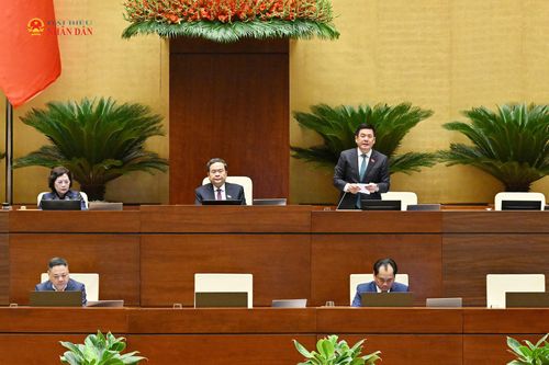 Phó Chủ tịch Quốc hội Nguyễn Hồng Diên phát biểu kết luận nội dung thảo luận. Ảnh: Khánh Duy