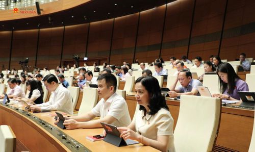 Các đại biểu tham gia phiên họp tại hội trường. Ảnh: Khánh Duy