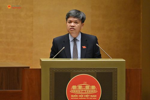 Phó Chủ nhiệm Ủy ban Khoa học, Công nghệ và Môi trường Tạ Đình Thi trình bày Báo cáo thẩm tra về việc tách Dự án điện hạt nhân Ninh Thuận thành các dự án độc lập. Ảnh: Thủy Nguyên