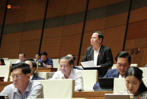 ĐBQH Nguyễn Duy Thanh (Cà Mau) phát biểu