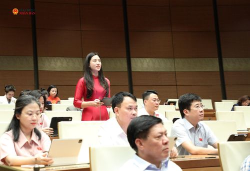 ĐBQH Sí Thị Mai Anh (Lào Cai) phát biểu
