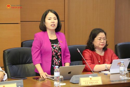 ĐBQH Lý Thị Lan (Tuyên Quang) phát biểu. Ảnh: Đắc Trường