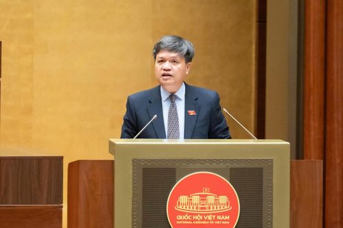 Phó Chủ nhiệm Ủy ban Khoa học, Công nghệ và Môi trường Tạ Đình Thi. Ảnh: Media Quốc hội.