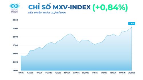 MXV-Index vượt 2.900 điểm, lên mức cao nhất từ cuối tháng 5