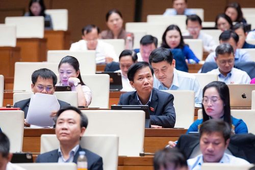 Các đại biểu dự phiên họp.