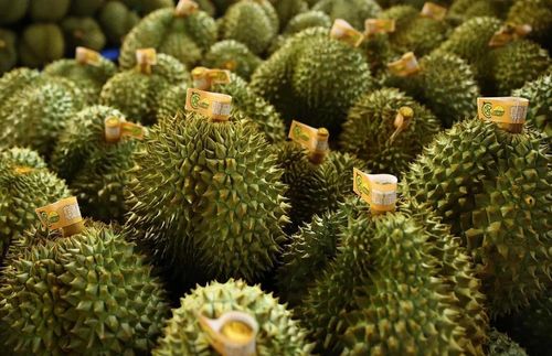 Trung Quốc phê duyệt thêm hàng trăm mã số vùng trồng, cơ sở đóng gói nông sản Việt. (Ảnh minh họa)
