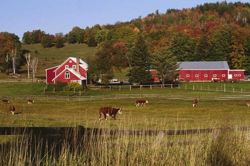 Khi hợp đồng kết thúc, diện tích này không được đăng ký lại vào RANCH nhưng sẽ tự động chuyển sang Chương trình Dự trữ Đồng cỏ